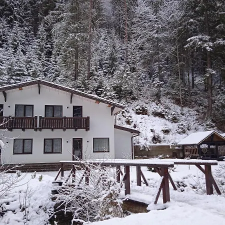 Cottage house Mizhhirya  Zewnętrze zdjęcie