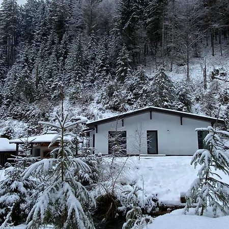 Cottage house Mizhhirya  Zewnętrze zdjęcie