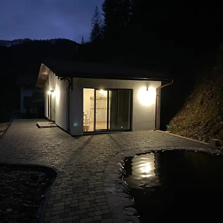 Cottage house Mizhhirya  Zewnętrze zdjęcie