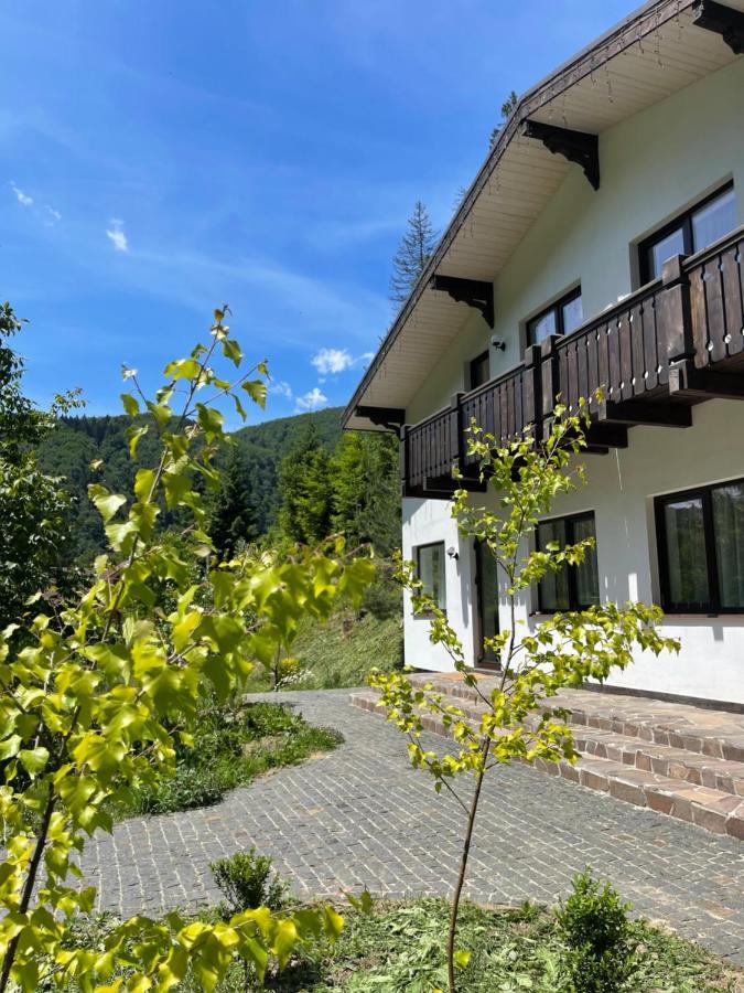 House * Mizhhirya (Transcarpathia)