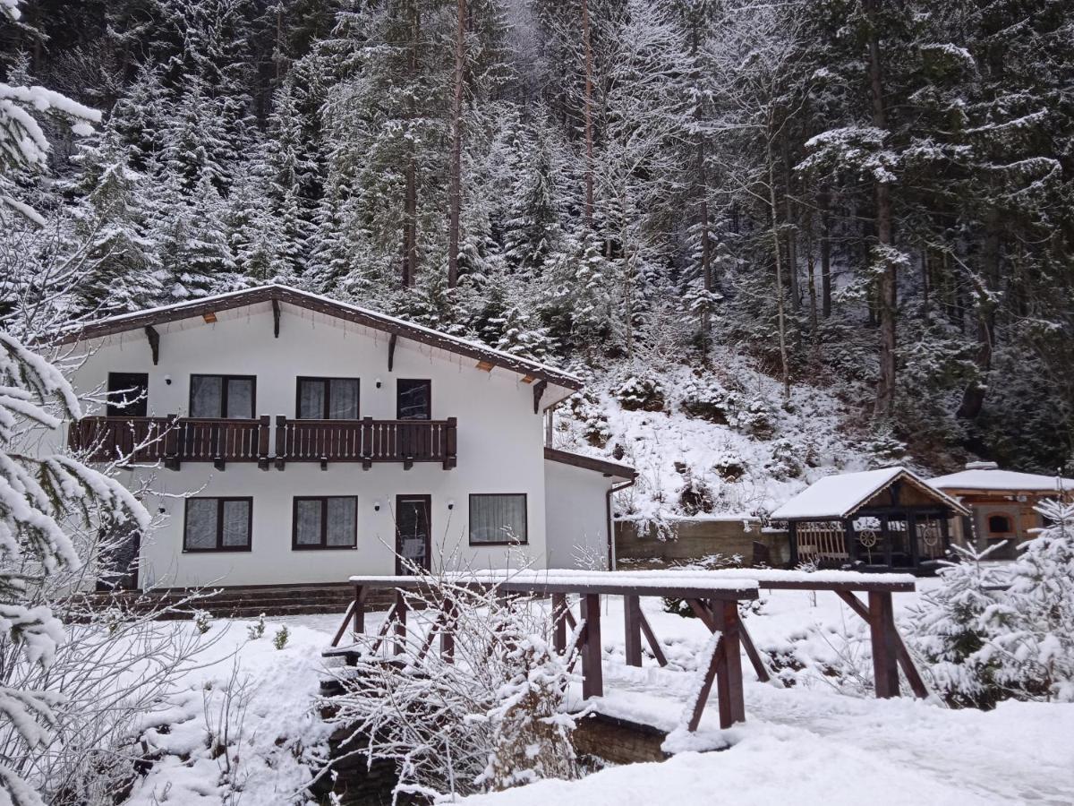Apartment House Mizhhirya (Transcarpathia)
