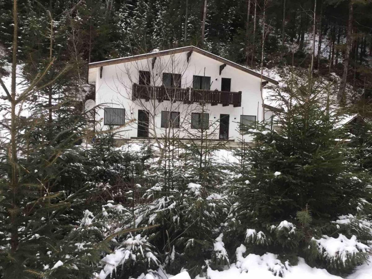 Apartment House Mizhhirya (Transcarpathia)