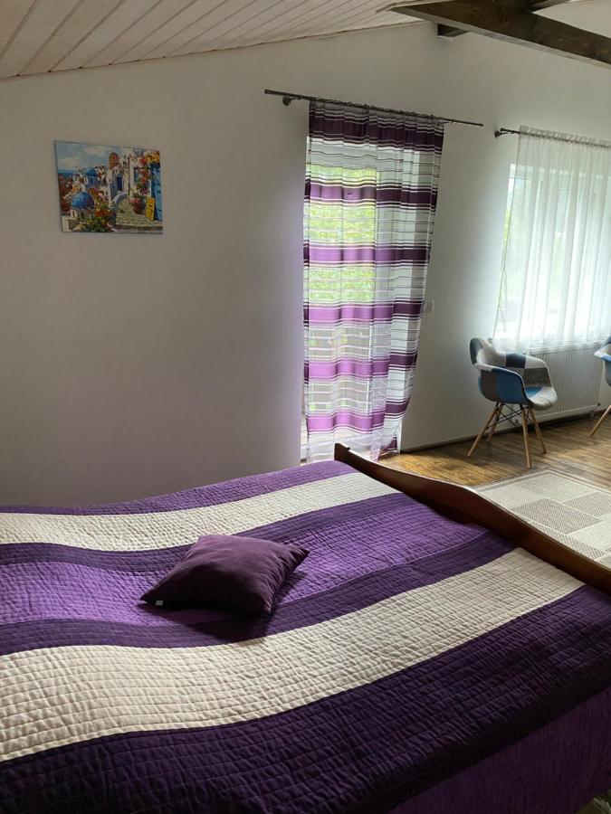 House Apartment Mizhhirya (Transcarpathia)