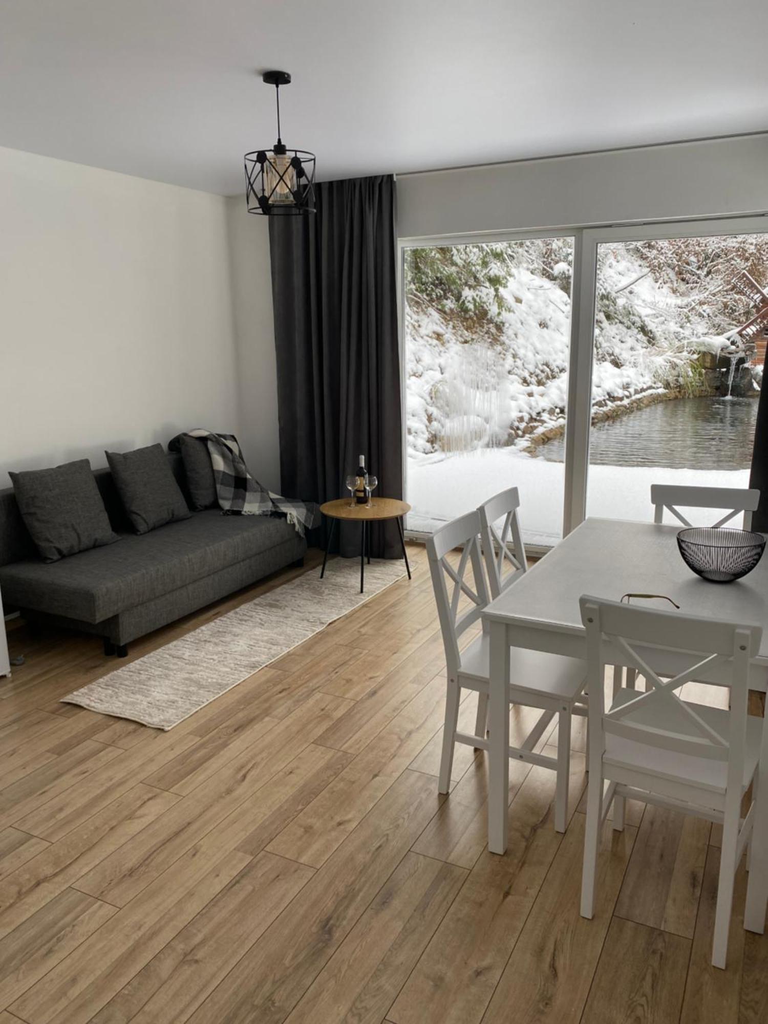 House Apartment Mizhhirya (Transcarpathia)